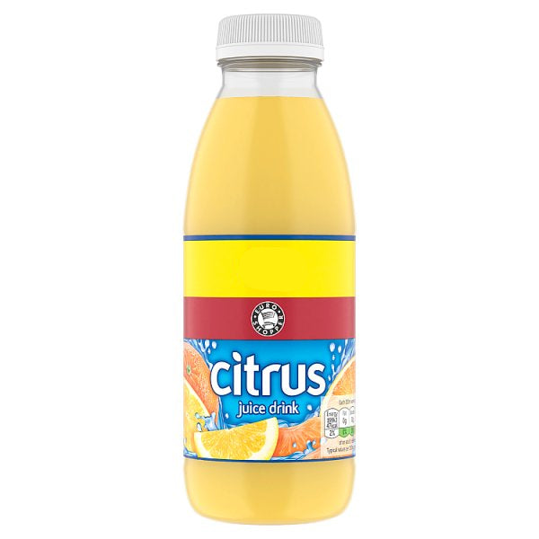 ES Citrus Juice Drink (500ml)