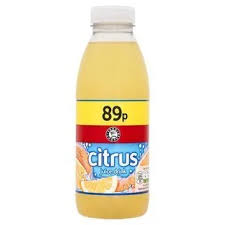 ES Citrus Juice Drink (500ml)